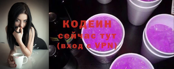 мдпв Верея